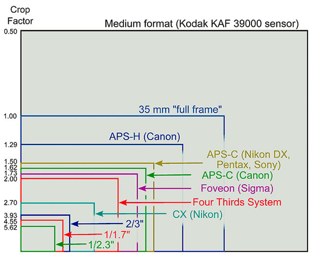 Sensor Size Comparison Chart