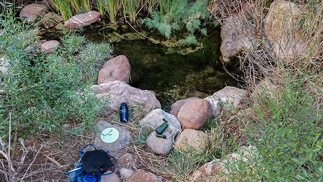 Natural Spring Near Camp