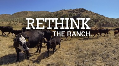 Rethink the Ranch
