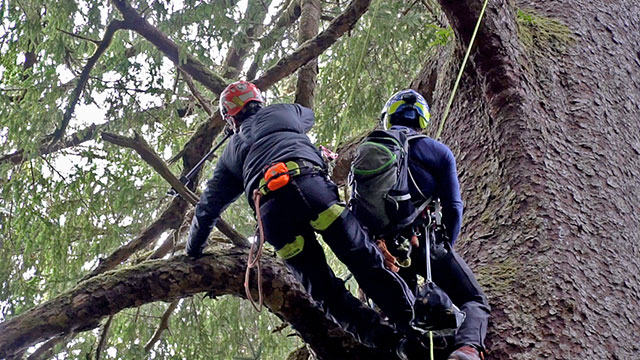 Thomas rigs a 360 camera 100 feet in the air